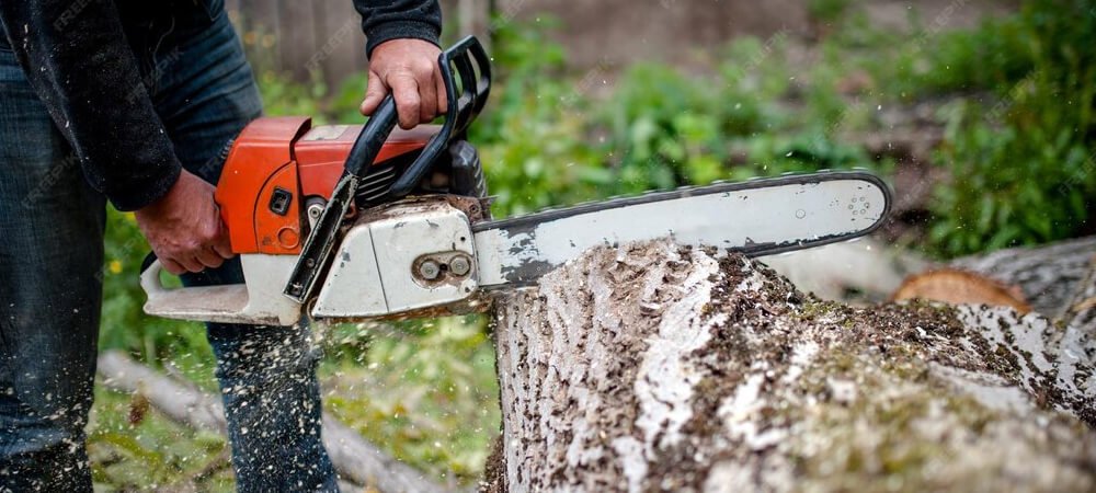 Tree Cutting Services