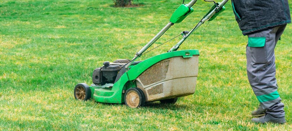 Grass Cutting Services
