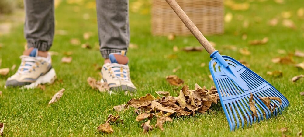 Seasonal Cleanup Services